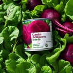 canned beets nutrition